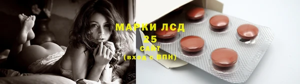 дживик Аркадак